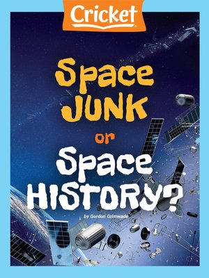 cover image of Space Junk or Space History?